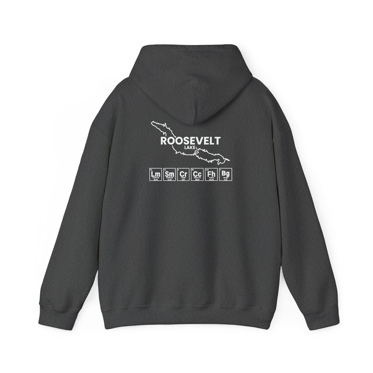 Roosevelt Lake, Arizona Hoodie-9
