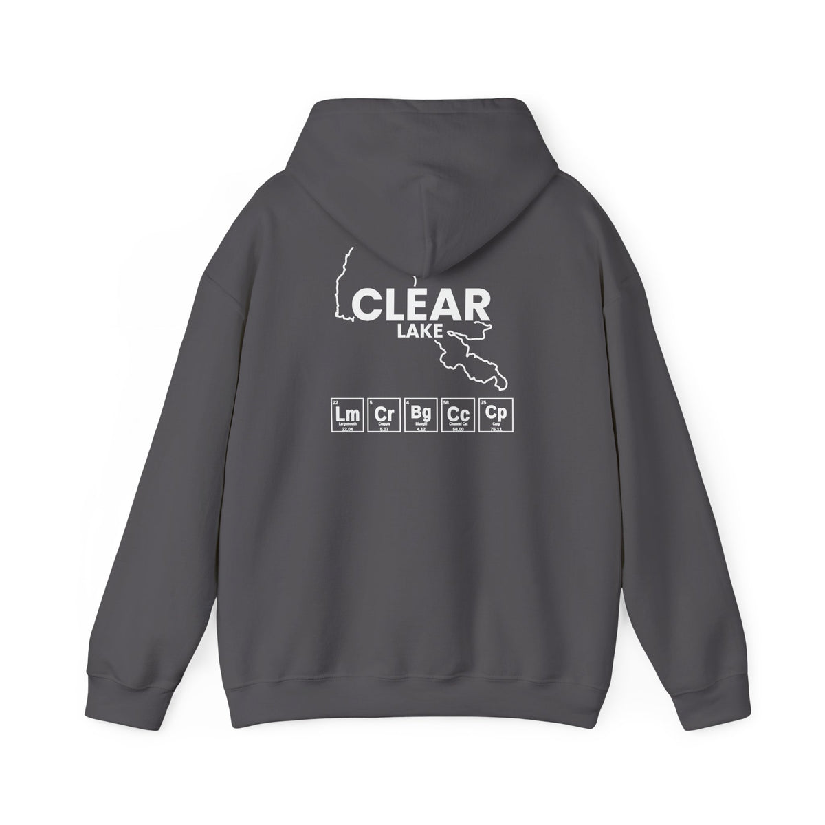 Clear Lake, California Hoodie-13