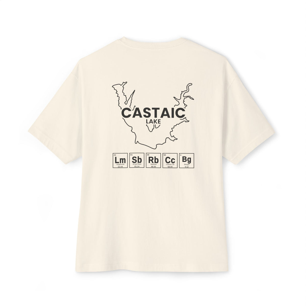 Castaic Lake, California Tee-7