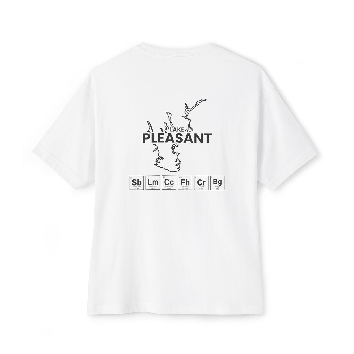 Lake Pleasant, Arizona Tee