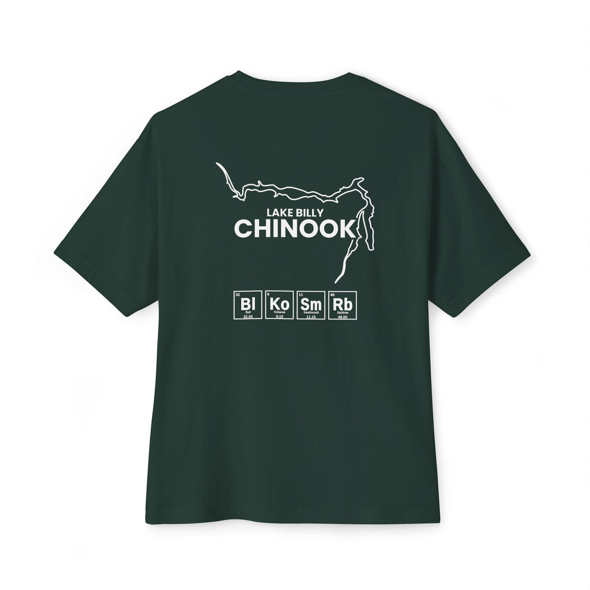 Lake Billy Chinook Tee-13
