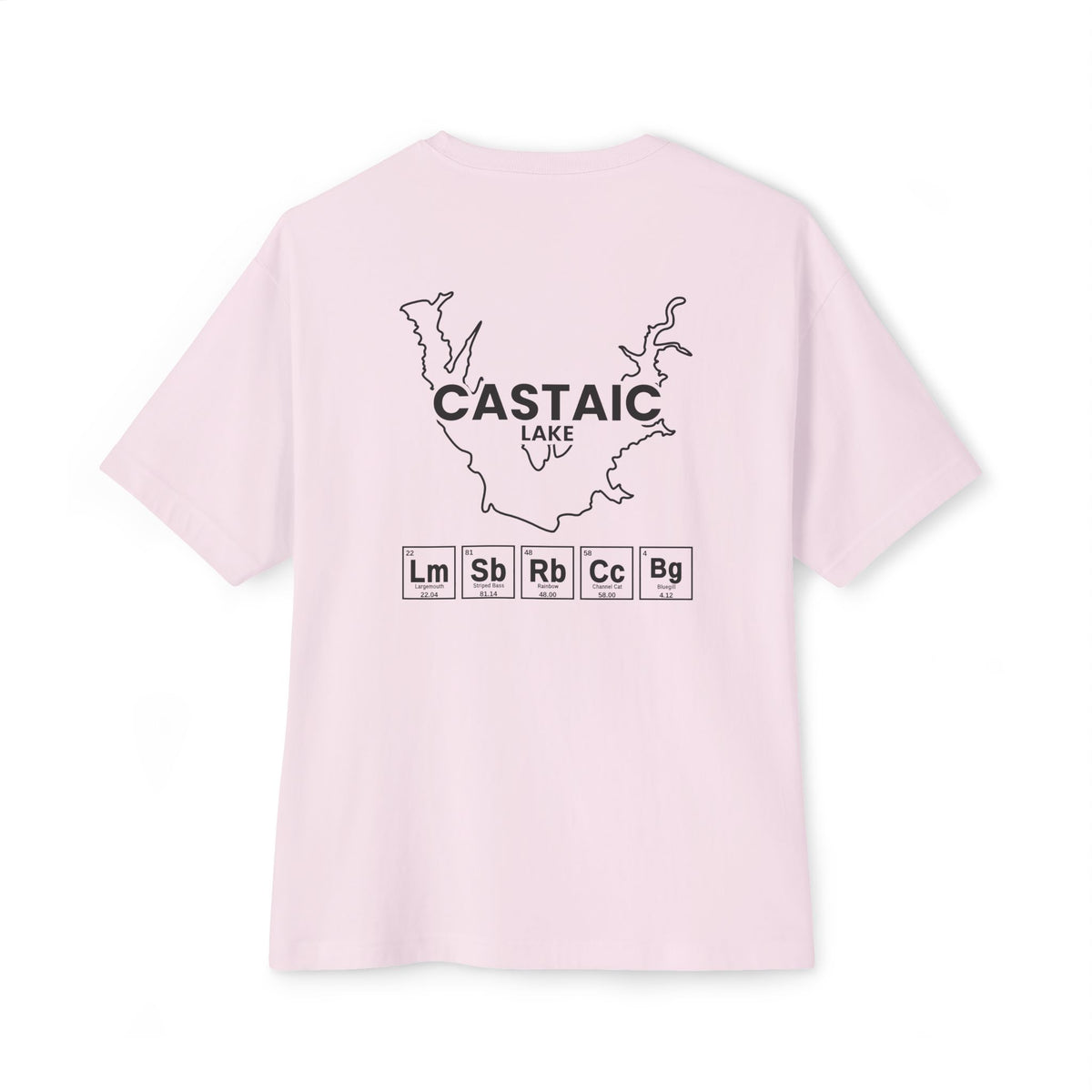 Castaic Lake, California Tee-3
