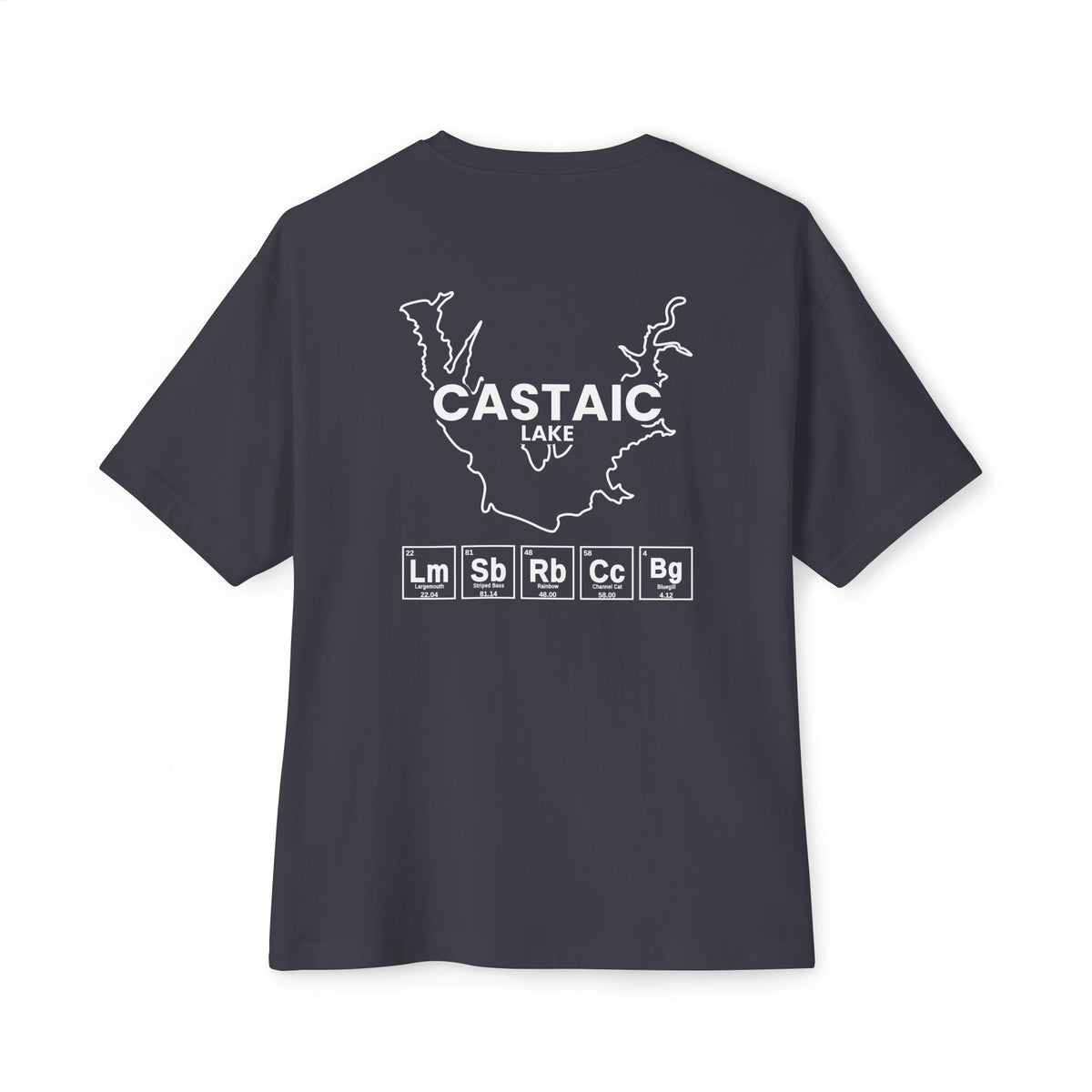 Castaic Lake, California Tee-11