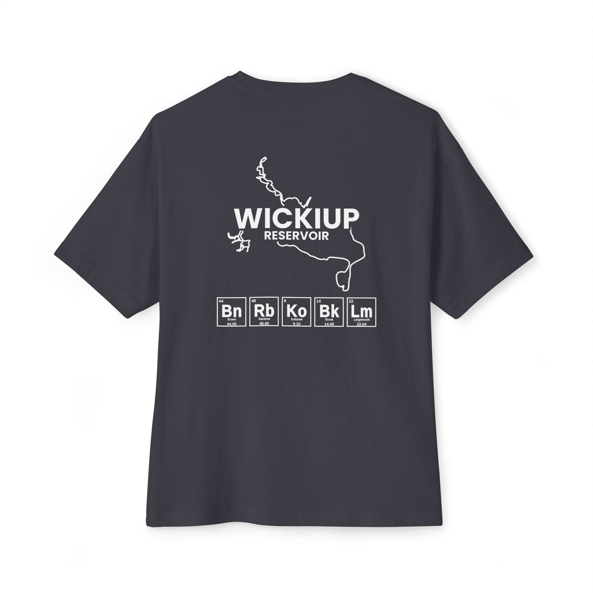 Wickiup Reservoir Tee-11