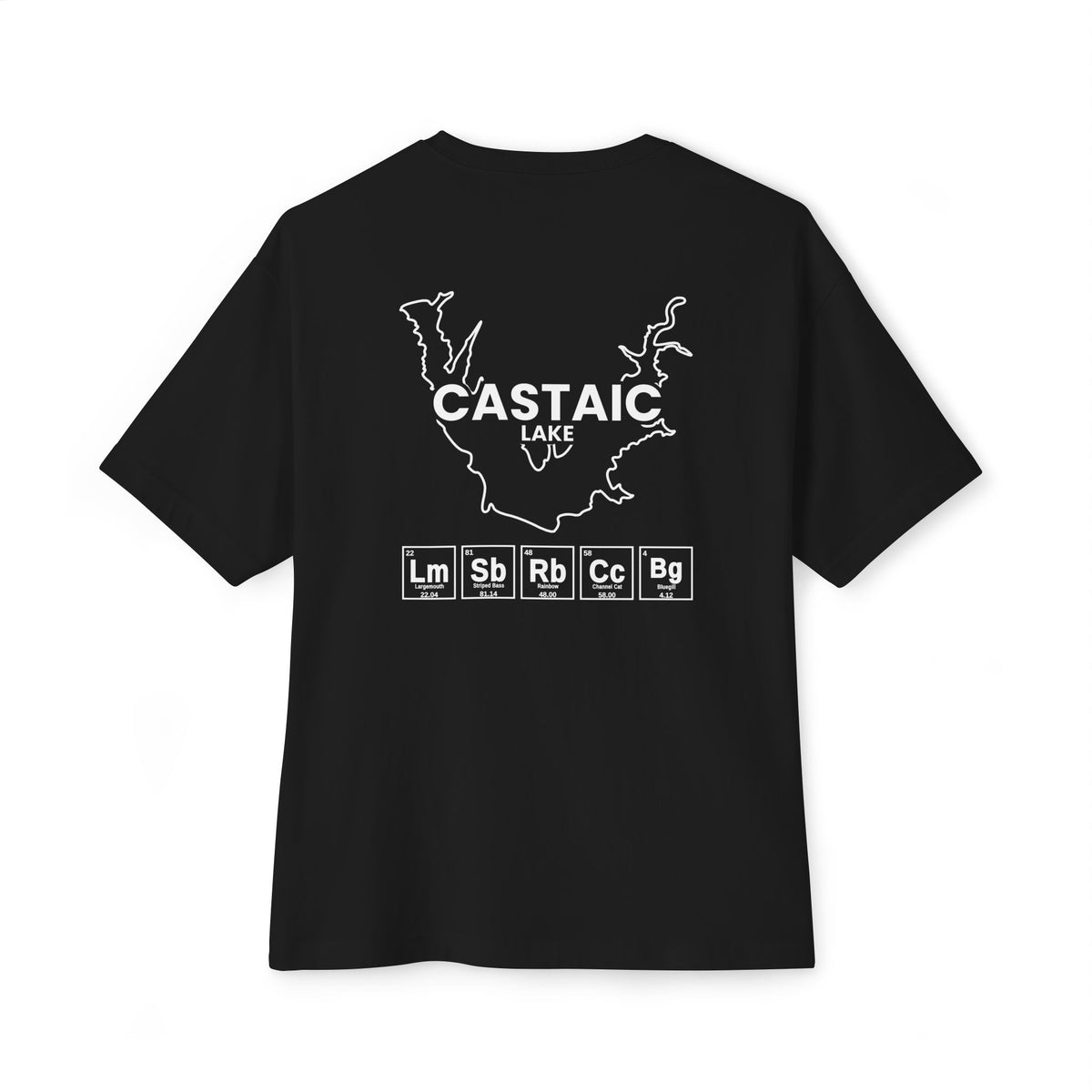 Castaic Lake, California Tee-5