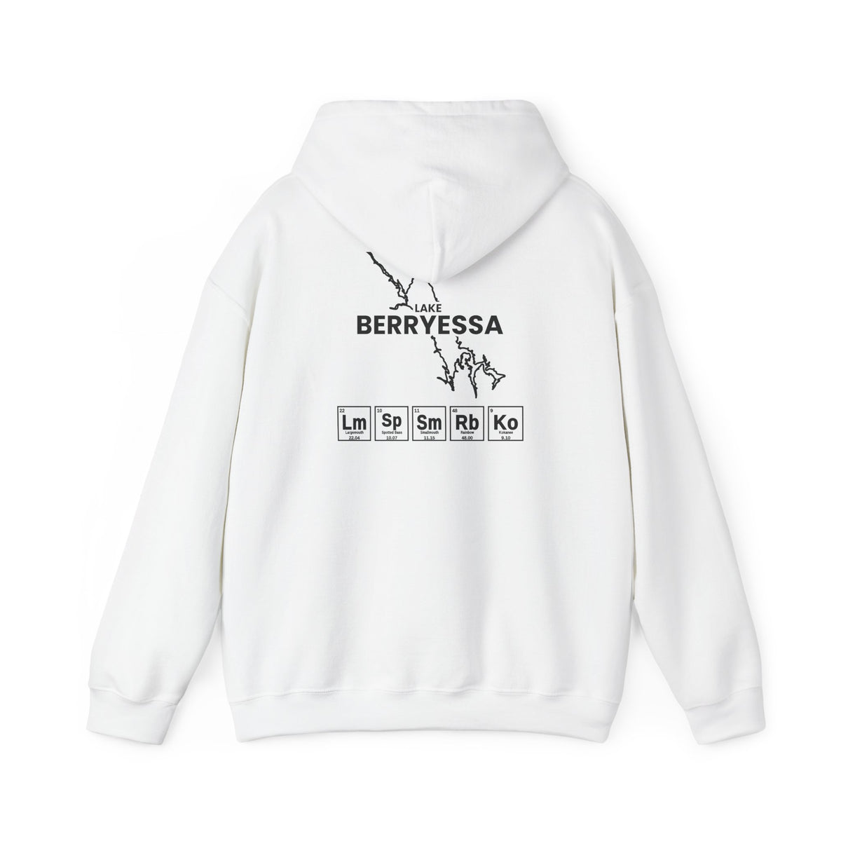 Lake Berryessa, California Hoodie