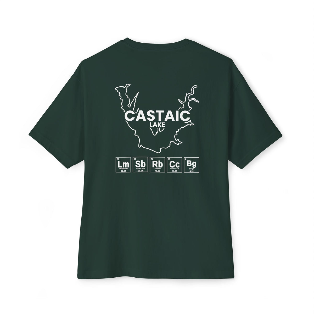 Castaic Lake, California Tee-13